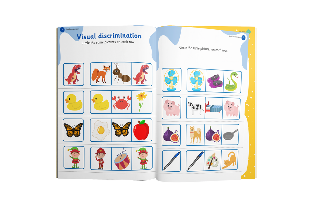 Visual and Auditory Processing Foundations