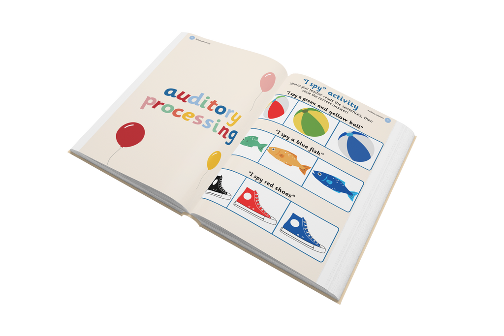 Visual and Auditory Processing Foundations